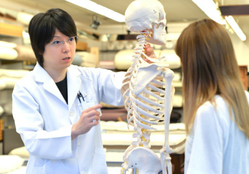 睡眠姿勢を整えるオーダーメイド枕
