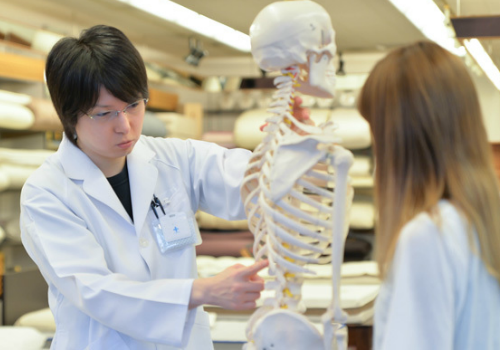 マットレスでの失敗しない選び方|トップ